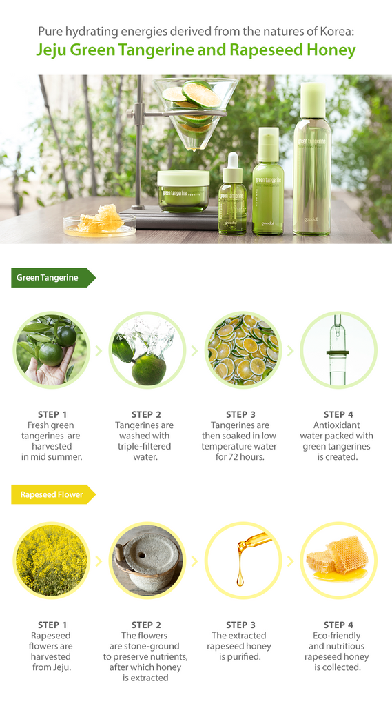 GOODAL Green Tangerine Honey Moist Skin Care Set MakeUp World Pakistan